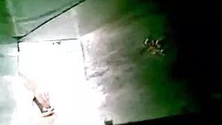 სამი Cumshots ცხვირი ამისთვის roommate.