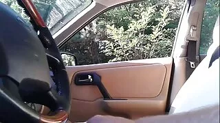 ქალები lick მათი ვირები.