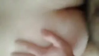 არტე სვეგლია